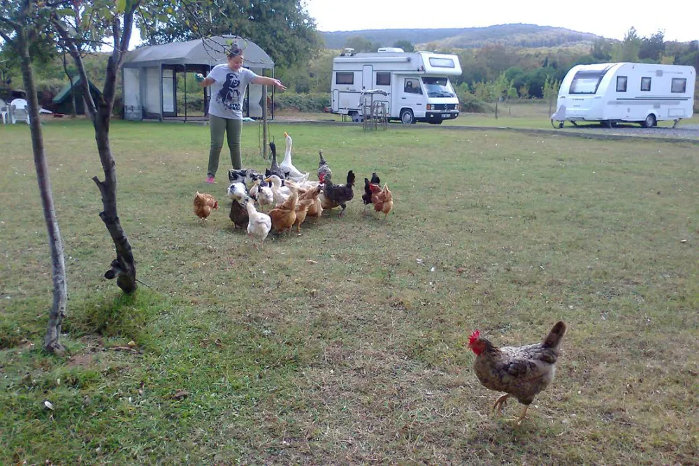 İstanbul Camper Village / İstanbul Karavan Köyü