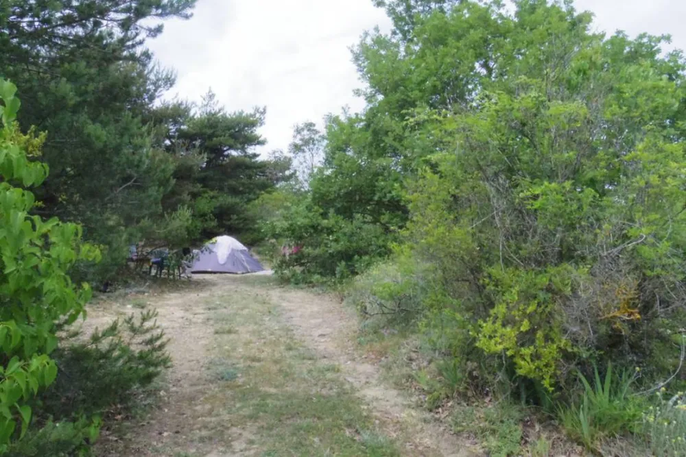 Camping A La Ferme Les Pins