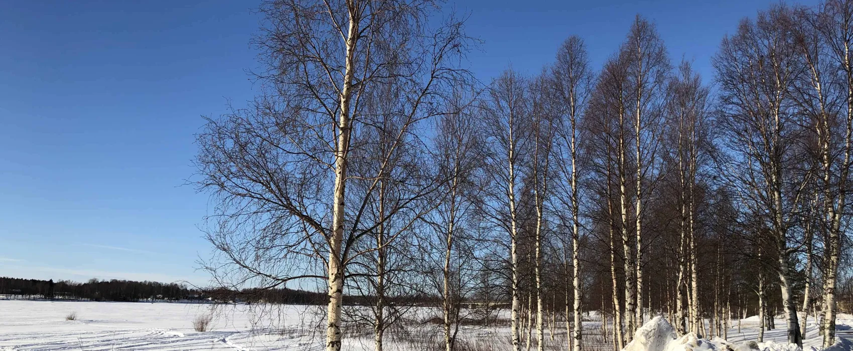 Sangis Motell och Camping