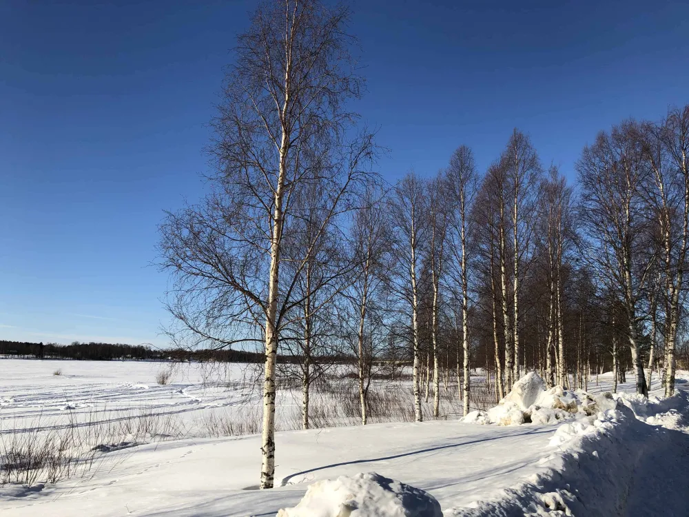 Sangis Motell och Camping