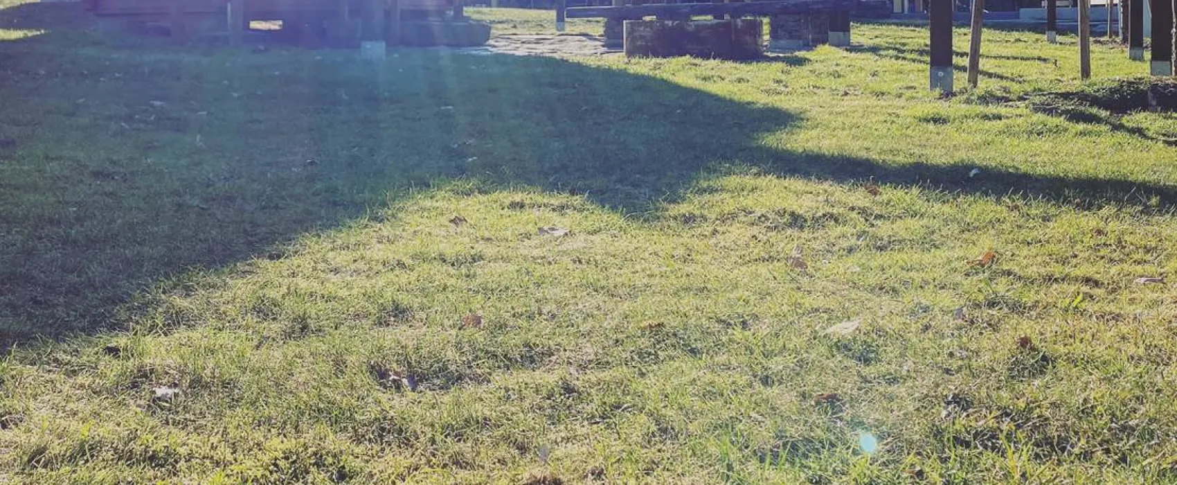 Naturbad Niederwiesa