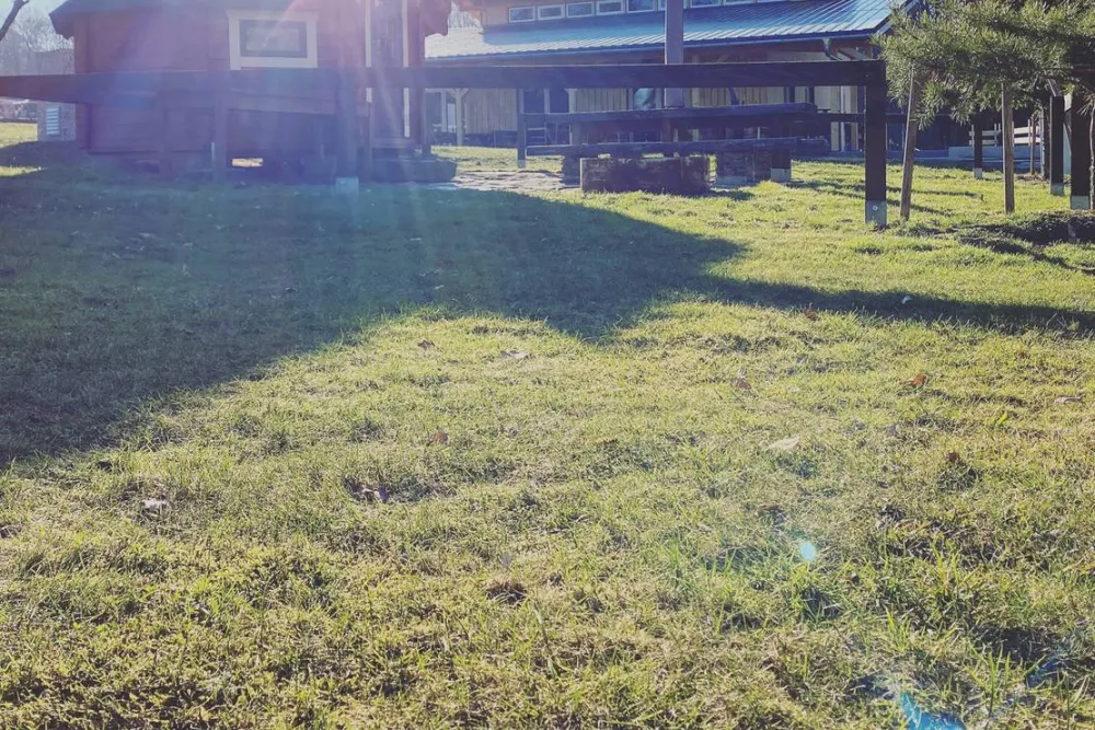 Naturbad Niederwiesa