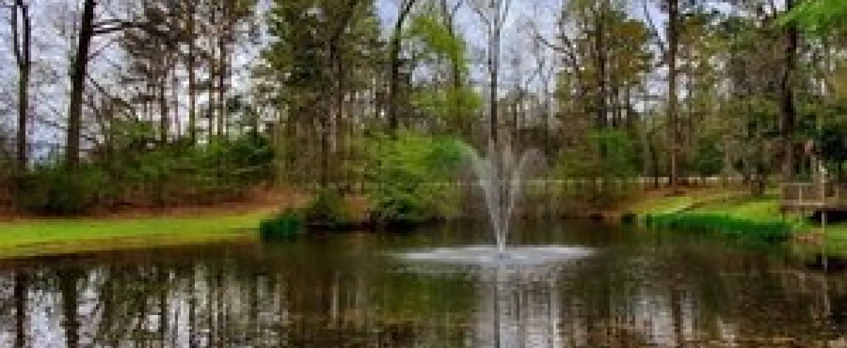 Peaceful Pines RV Park