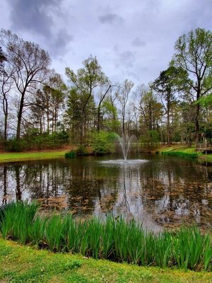 Peaceful Pines RV Park photo 3