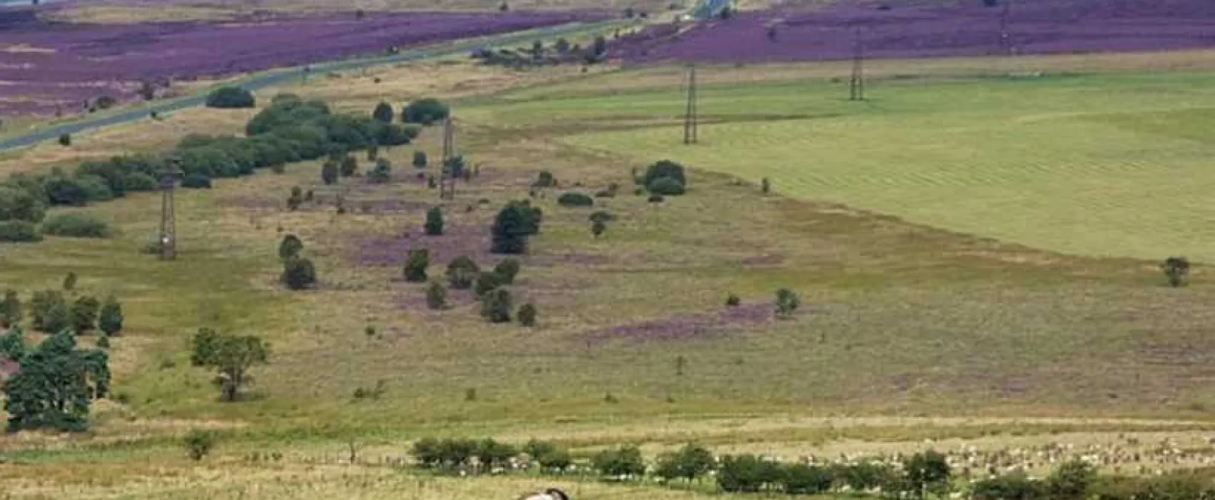 Marfit Head Farm Caravan and Campsite