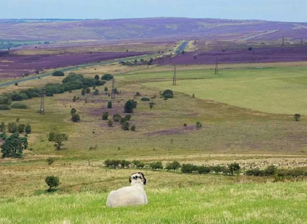 Marfit Head Farm Caravan and Campsite