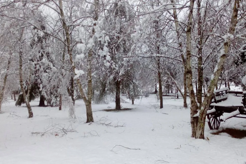 Parque de Campismo Rural Vale do Beijames