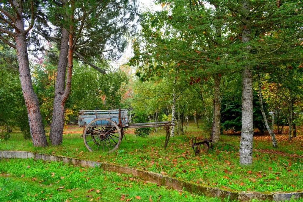 Parque de Campismo Rural Vale do Beijames