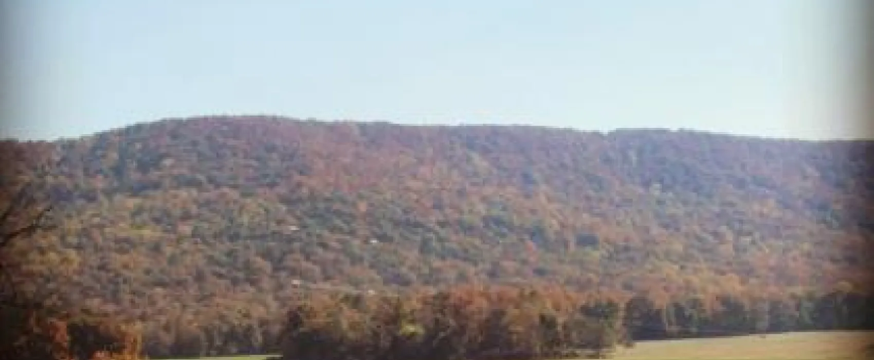 Mountain Cove Farms Resort