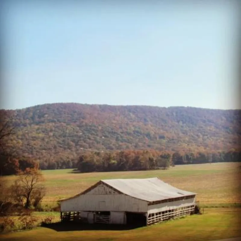 Mountain Cove Farms Resort