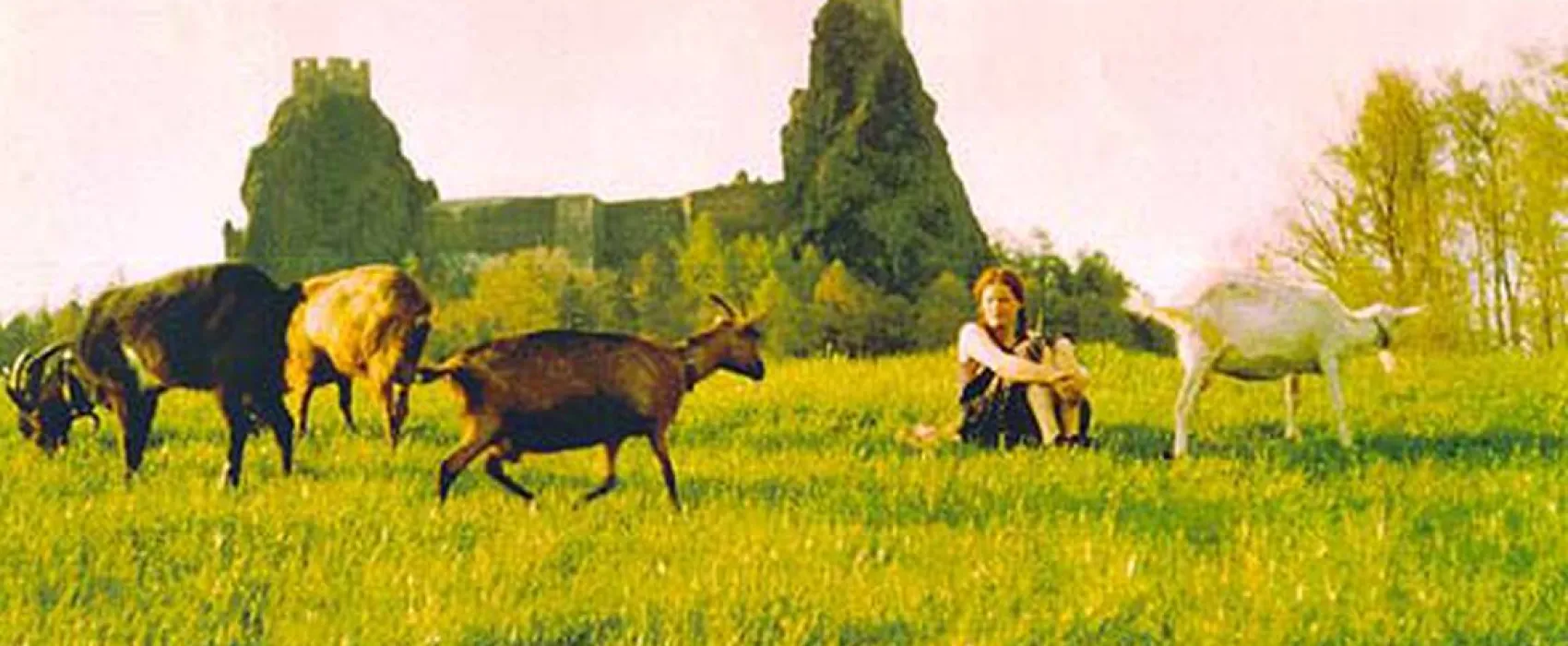 Autocamp Tábořiště Svitačka