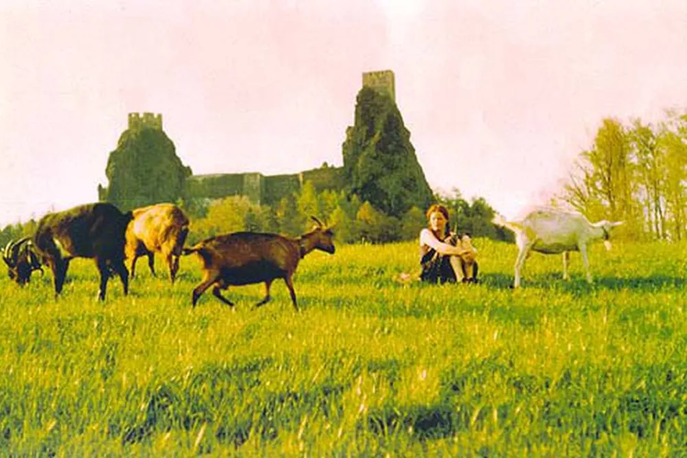 Autocamp Tábořiště Svitačka