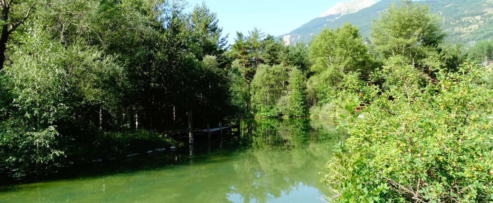 Base de Loisirs Champ Feleze