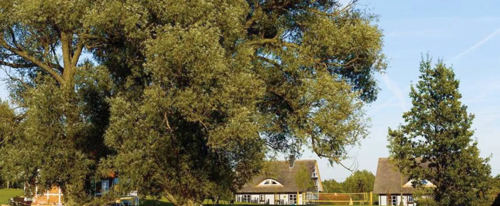 Szelagowka Camping& Glamping