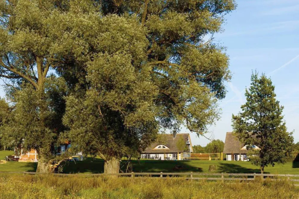 Szelagowka Camping& Glamping