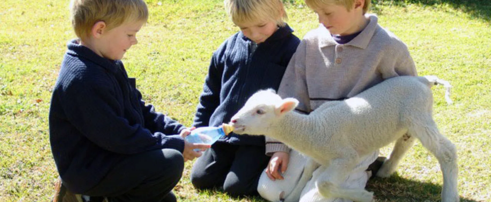 Fountain Hall Guest Farm