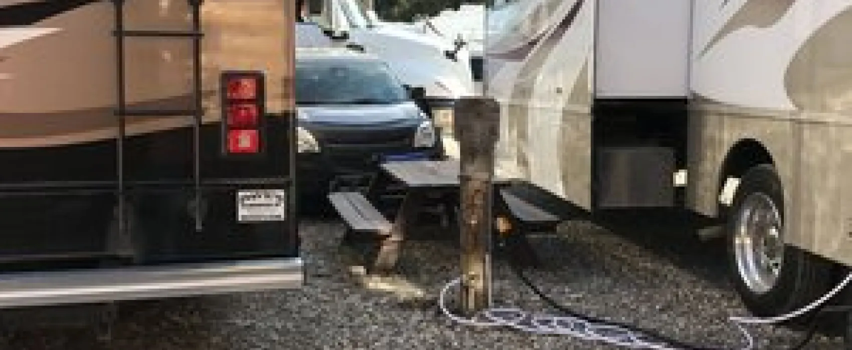 Denali Grizzly Bear Resort