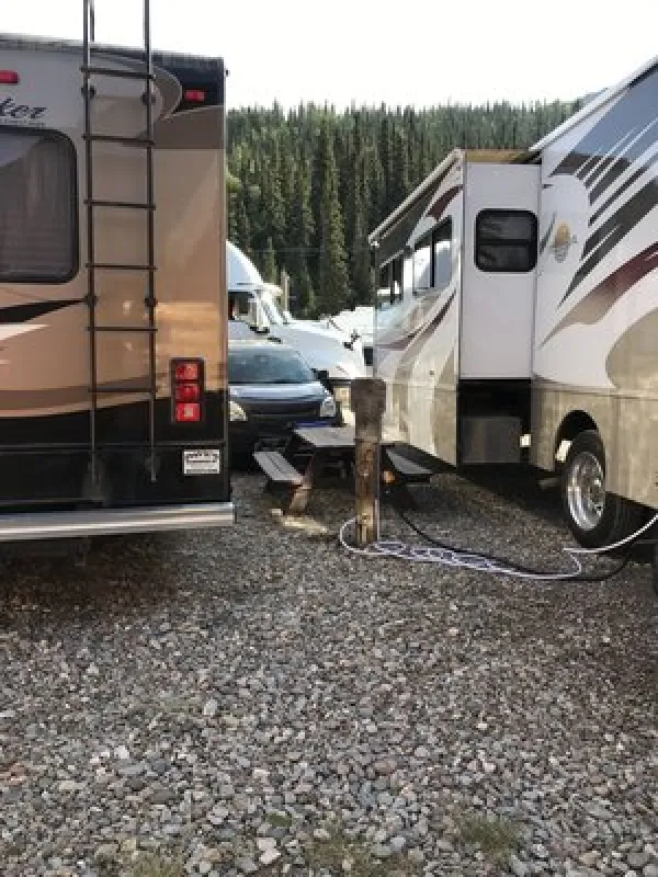 Denali Grizzly Bear Resort