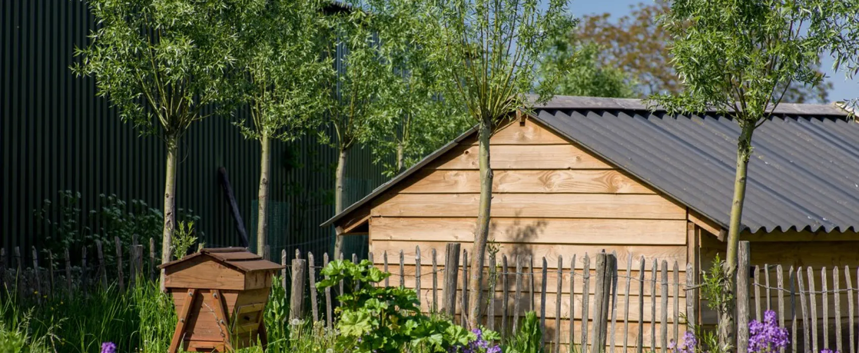 Minicamping Boerderij de IJsselhoeve