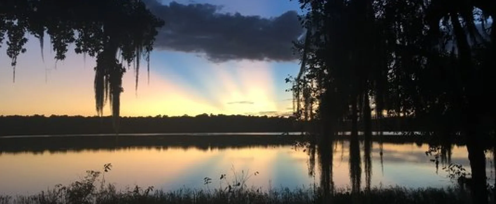 Paynes Prairie Preserve State Park