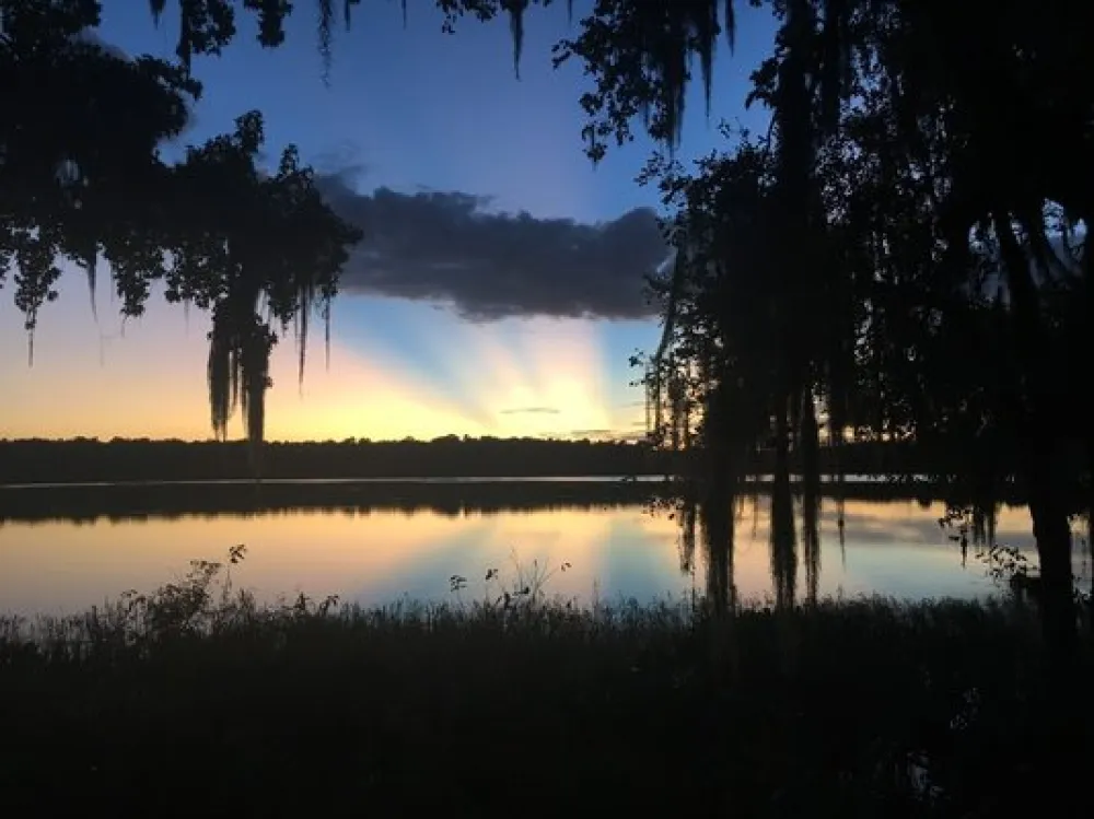Paynes Prairie Preserve State Park