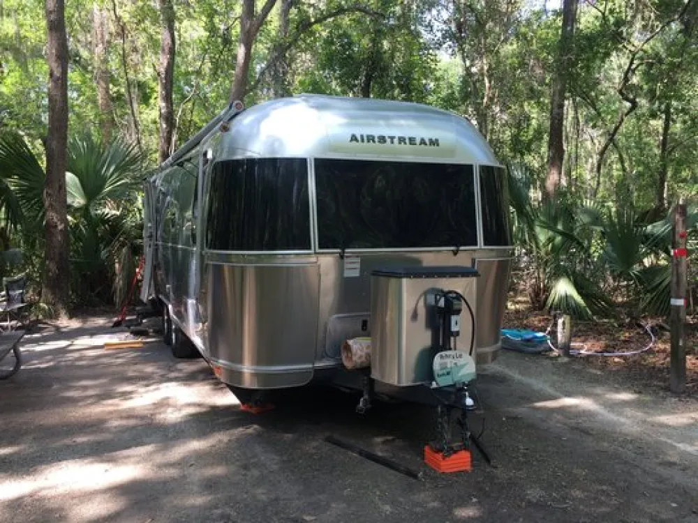Paynes Prairie Preserve State Park