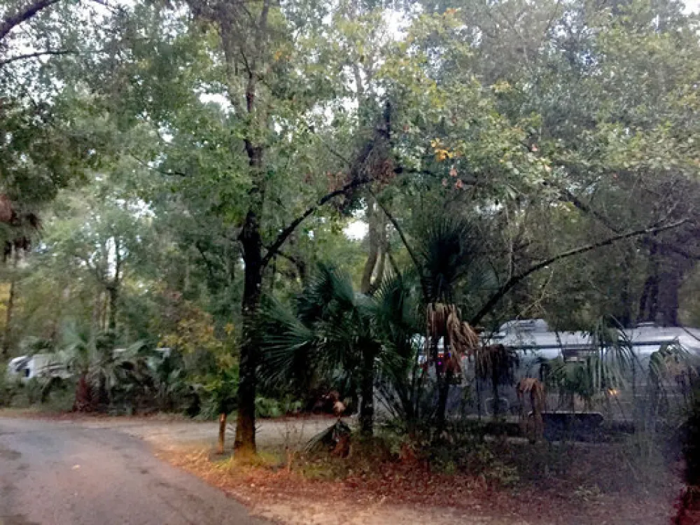 Paynes Prairie Preserve State Park