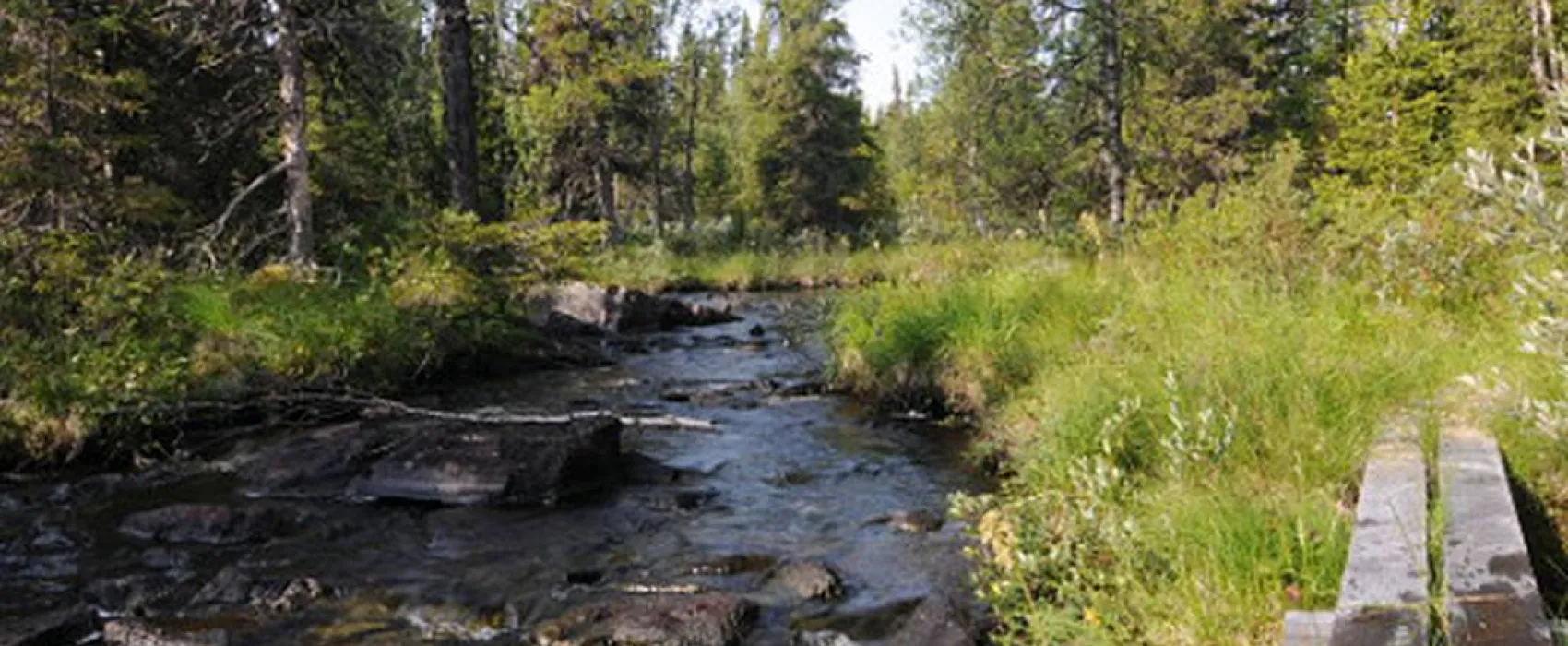 Galå Fjällgård - Camping
