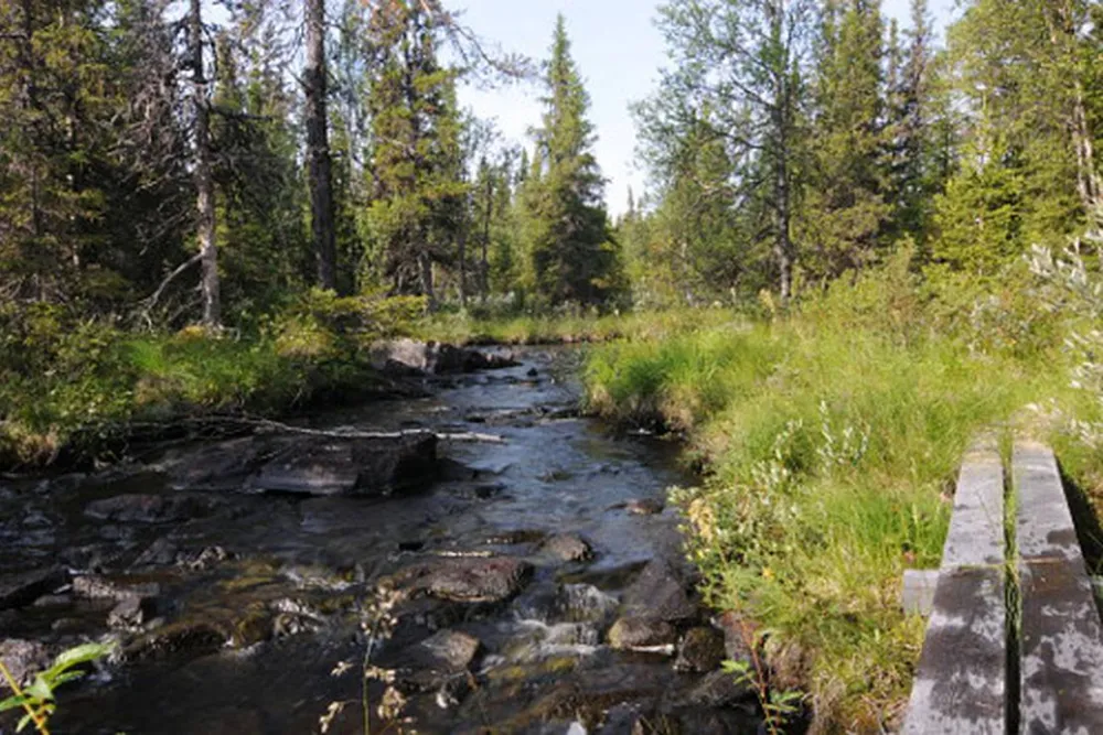 Galå Fjällgård - Camping