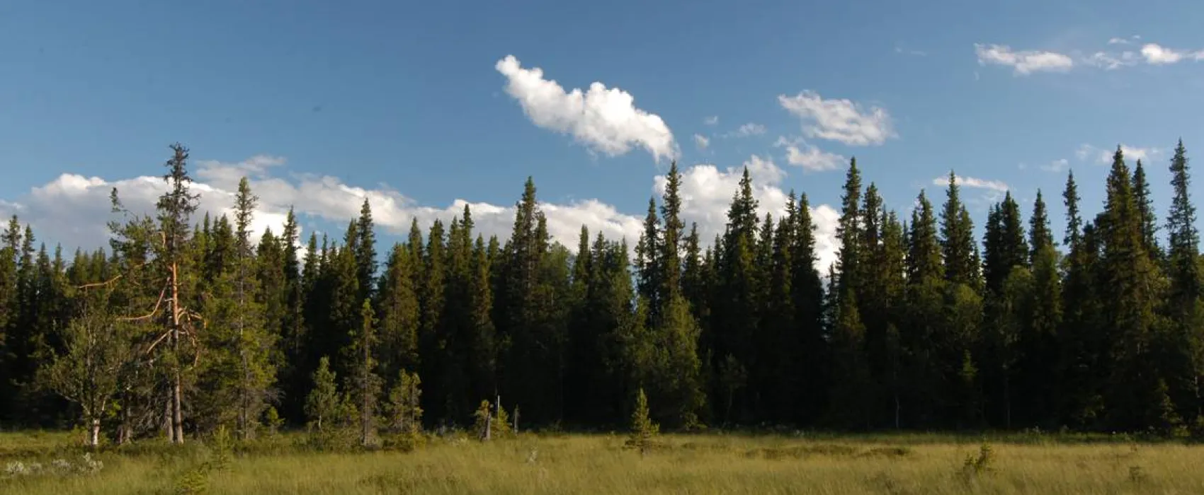Galå Fjällgård - Camping