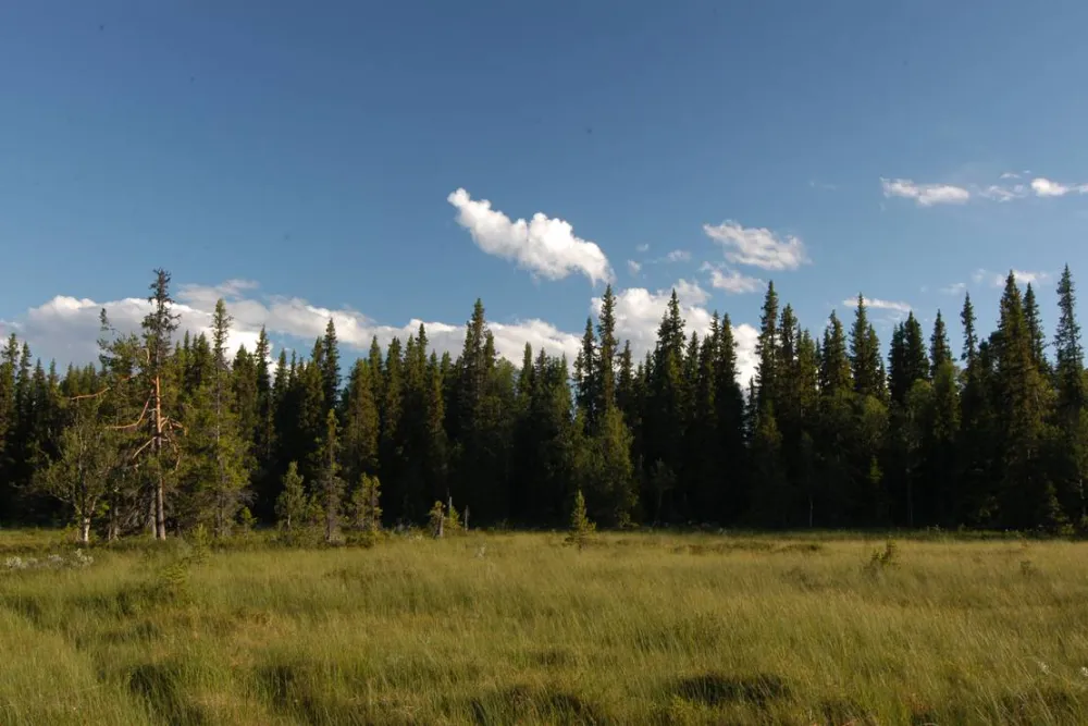 Galå Fjällgård - Camping