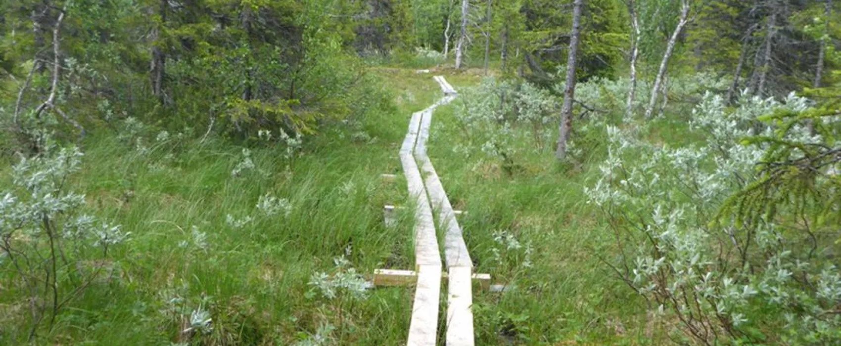 Galå Fjällgård - Camping