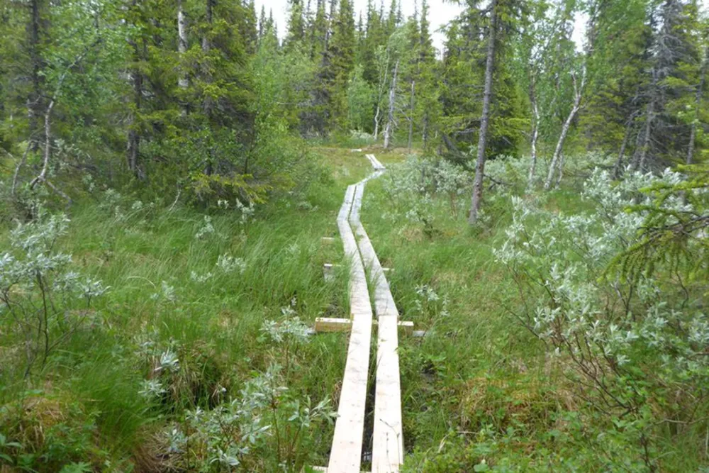 Galå Fjällgård - Camping