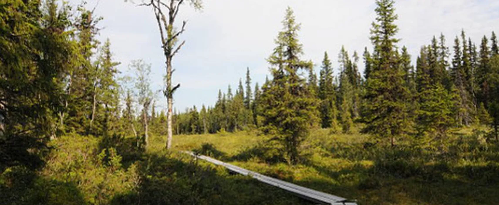 Galå Fjällgård - Camping