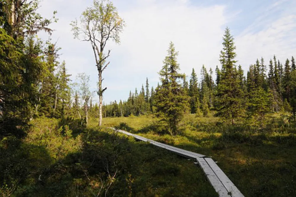 Galå Fjällgård - Camping