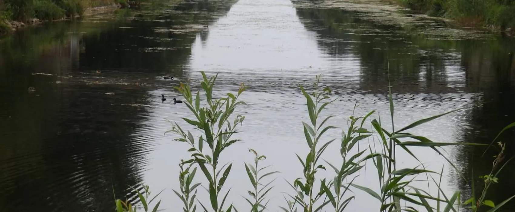 Schöne Freizeit KranenCamp