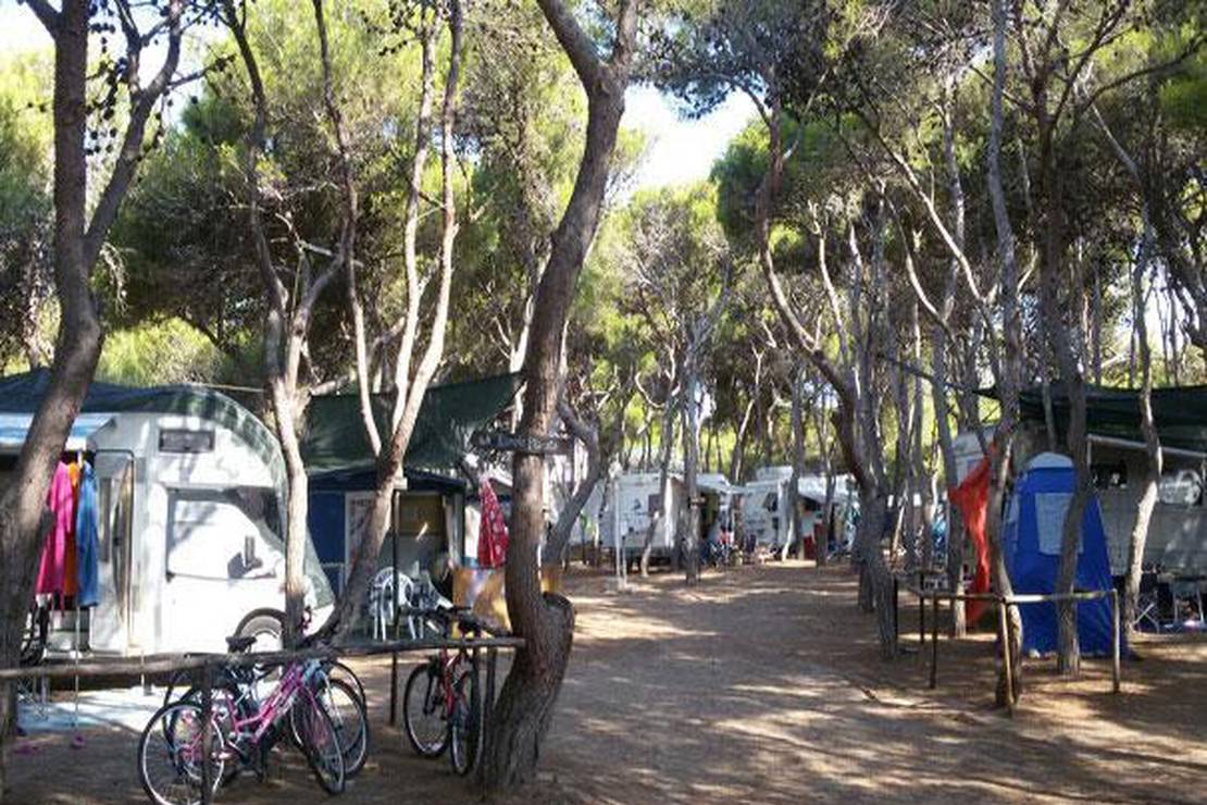 Camping Sunbay photo 2