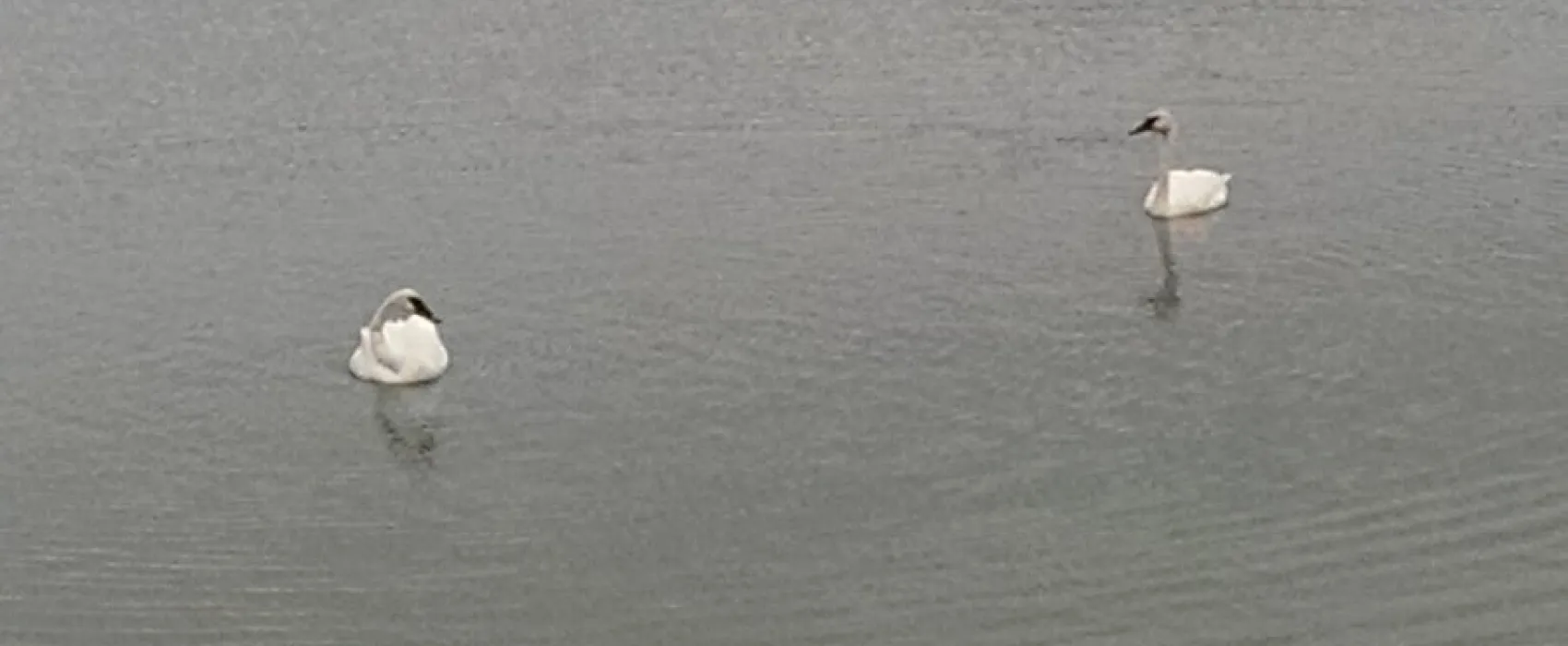 Cobb Park & Campground