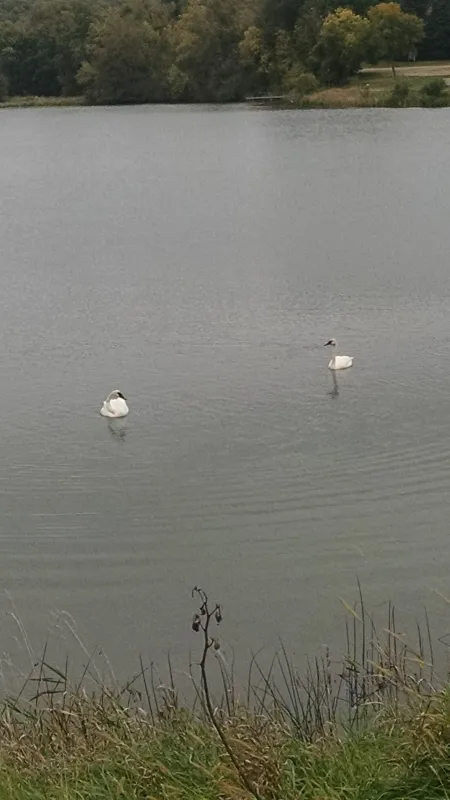 Cobb Park & Campground