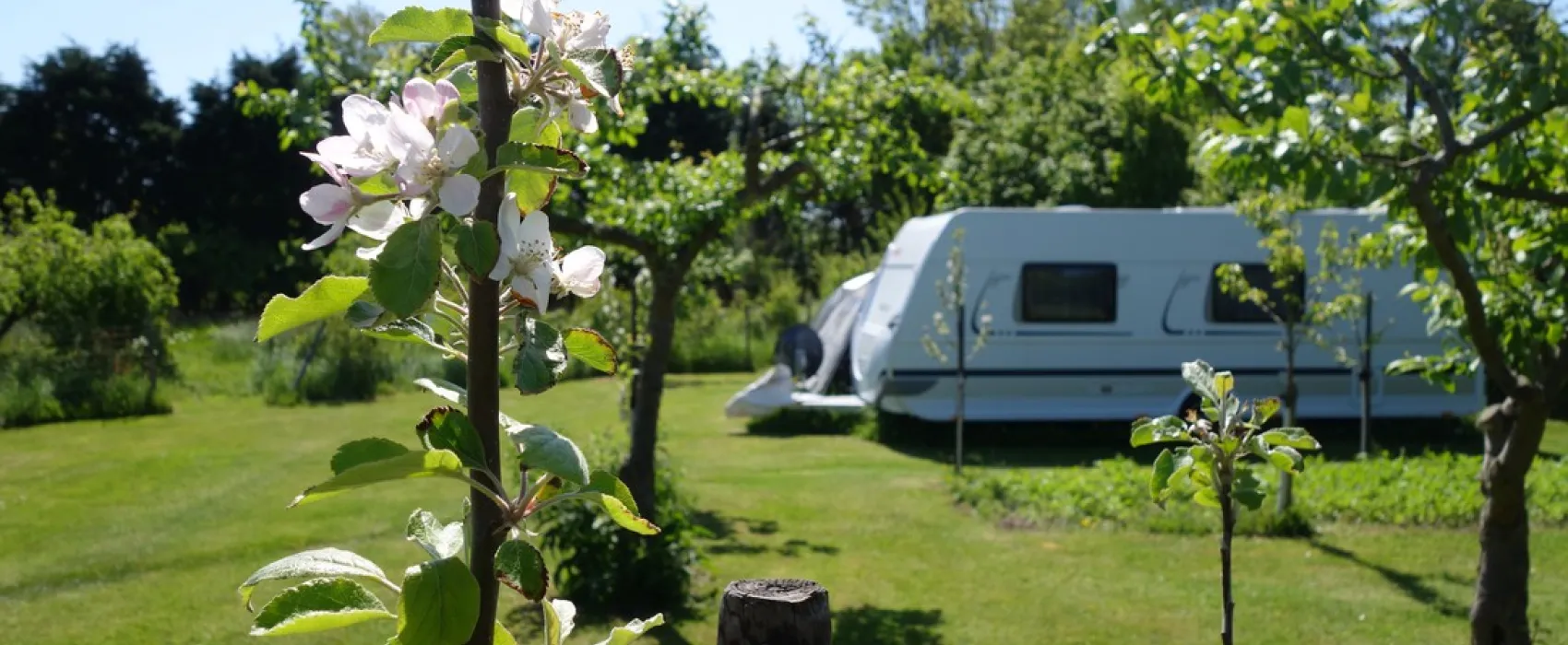 Recreatieterrein Welgelegen