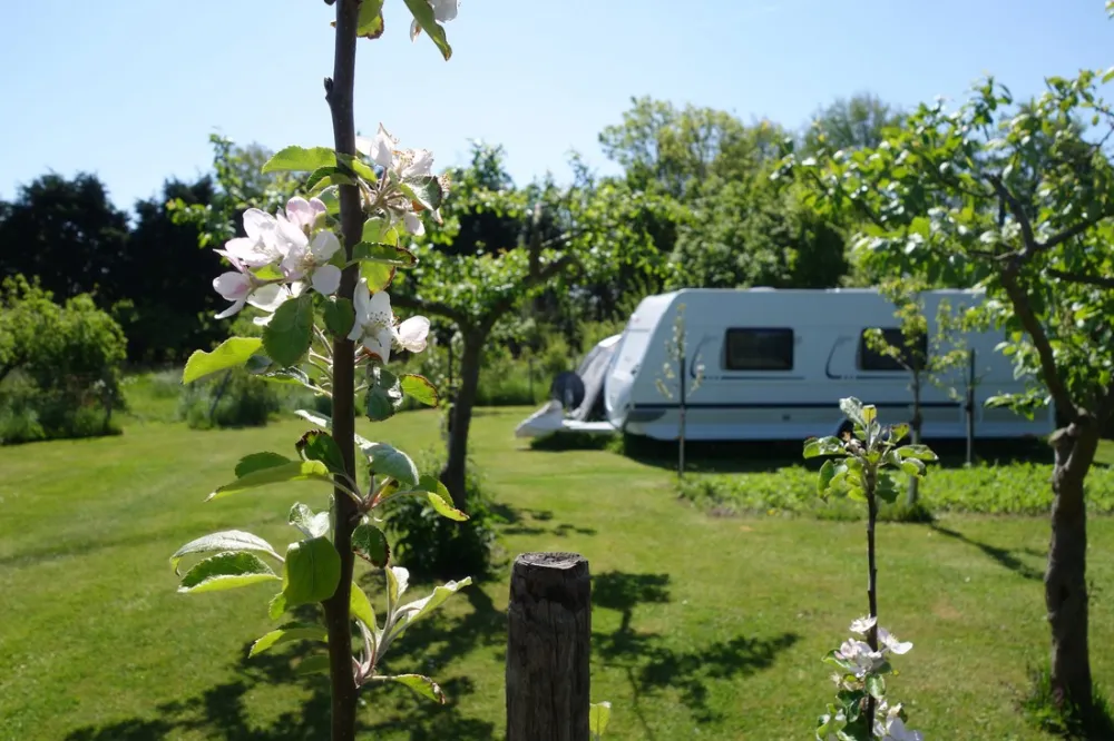 Recreatieterrein Welgelegen