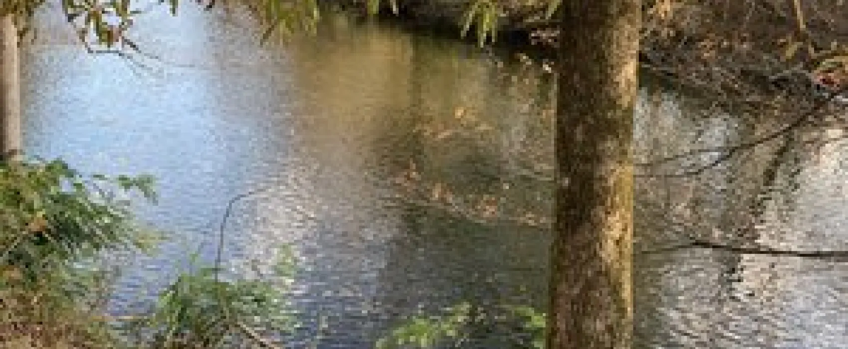 Little River Campground & RV Resort