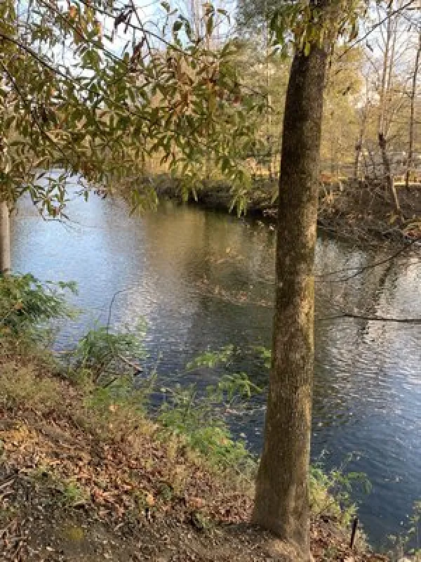 Little River Campground & RV Resort