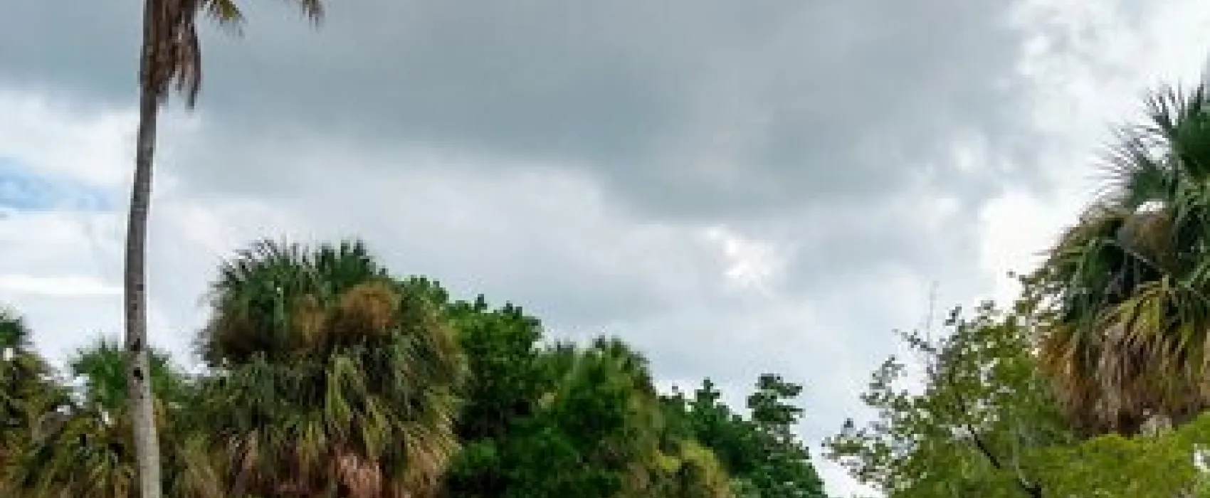 Buttonwood Inlet RV Resort