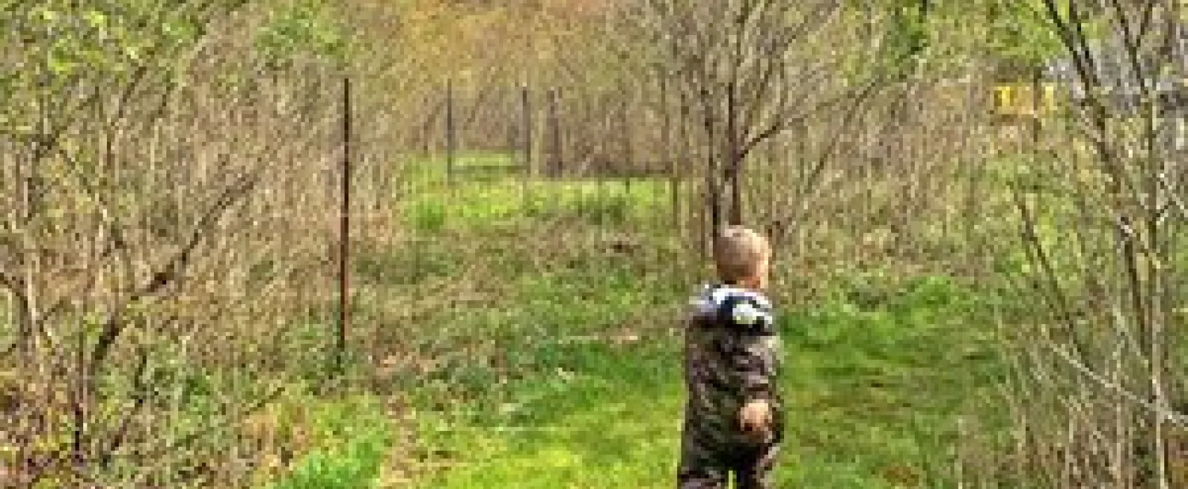 Oil Creek Family Campground