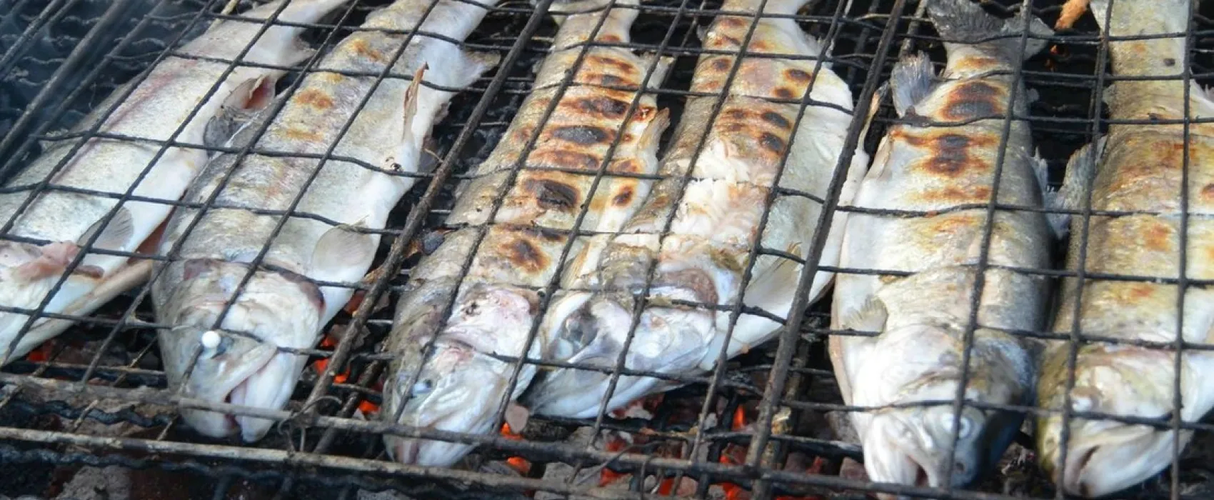 Le Moulin du Chatain