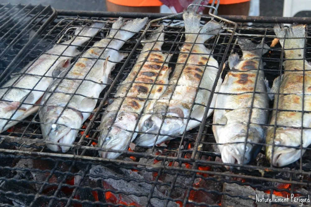 Le Moulin du Chatain