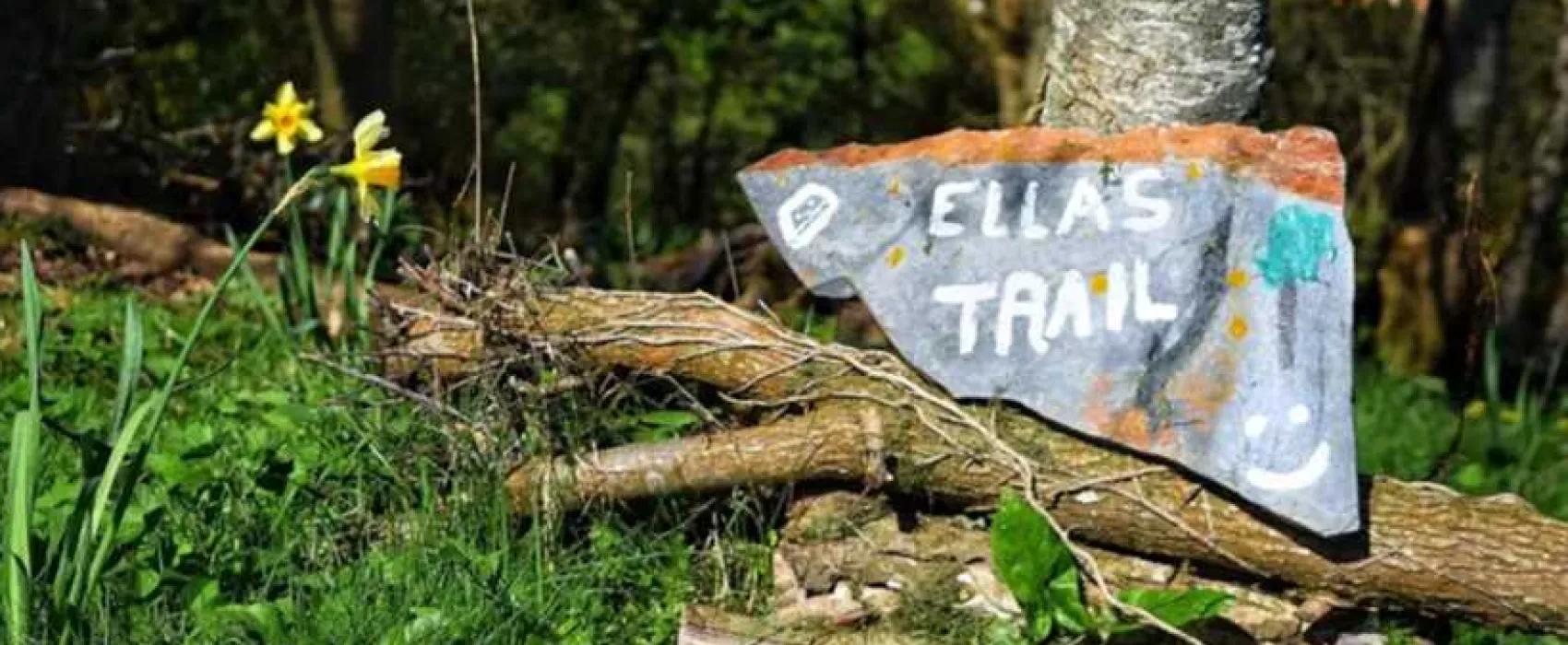 Harmony Wood Naturist Campsite Certificated Site