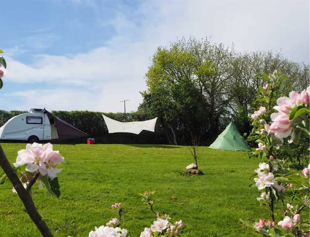 Harmony Wood Naturist Campsite Certificated Site