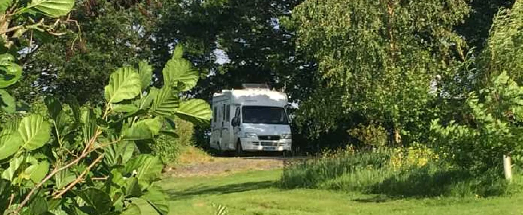 Harmony Wood Naturist Campsite Certificated Site